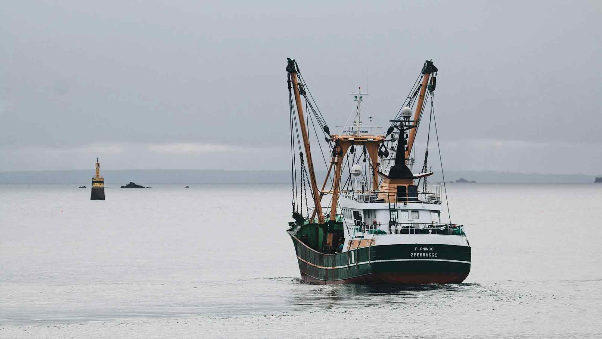 Deutsche Umwelthilfe zu Empfehlungen für Ostsee Fangquoten: &raquo;Veraltetes Verständnis führt zum Kollaps der Fischerei&laquo;