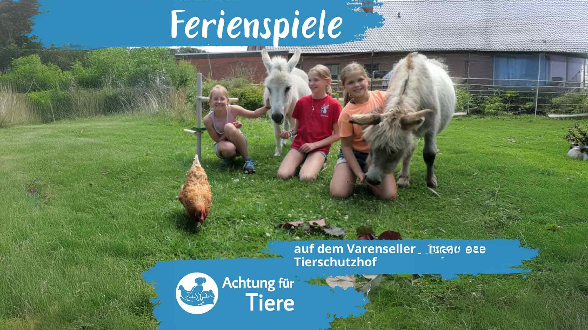 Ferienspiele auf dem Tierschutzhof in Varensell, freie Plätze am 22. und 23. Juli 2025