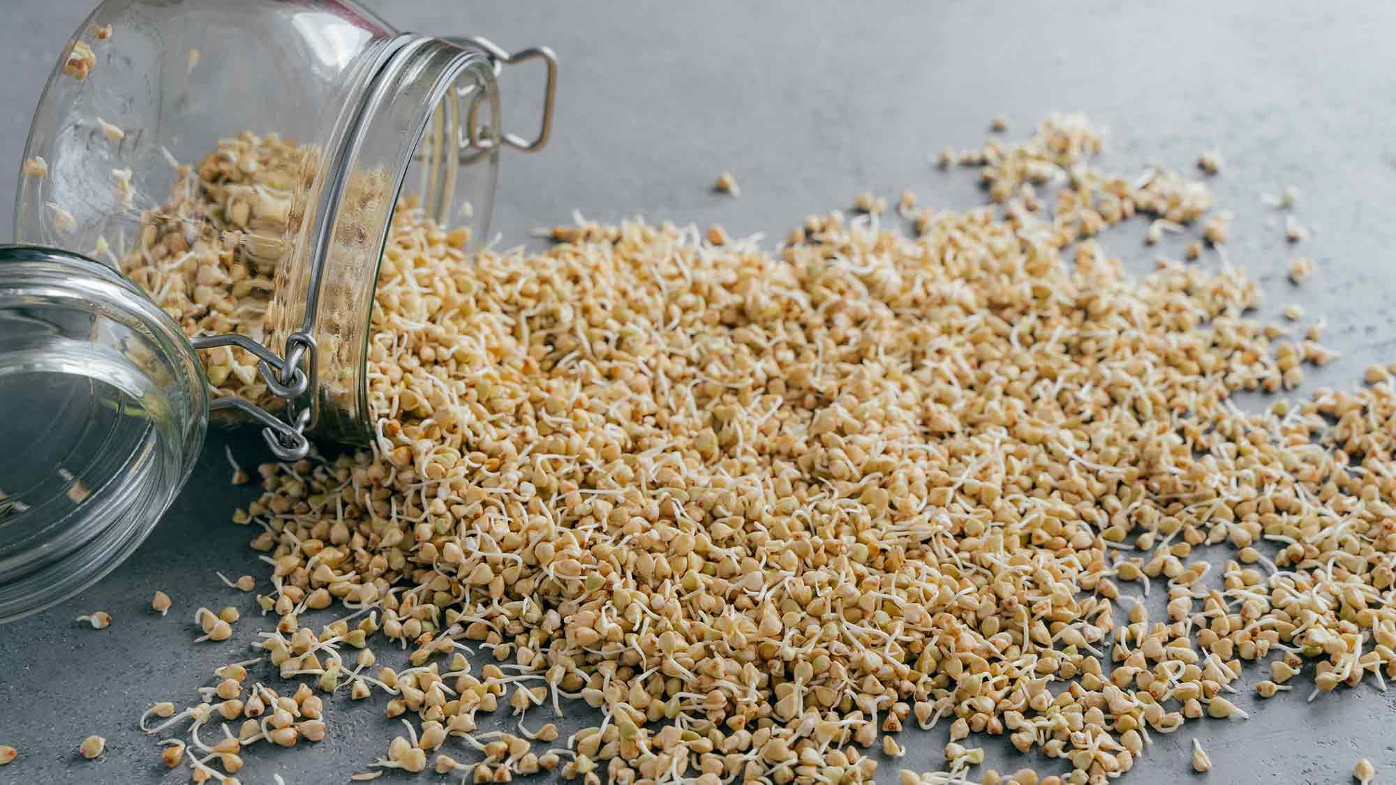 Verbraucherzentrale NRW: Superfood Sprossen – frisch, knackig – und eine Brutstätte für Bakterien Verbraucherzentrale NRW: Superfood Sprossen – frisch, knackig – und eine Brutstätte für Bakterien