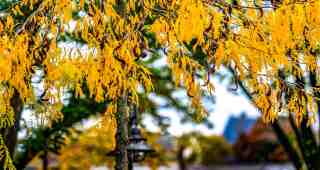 The NOW of Gütersloh