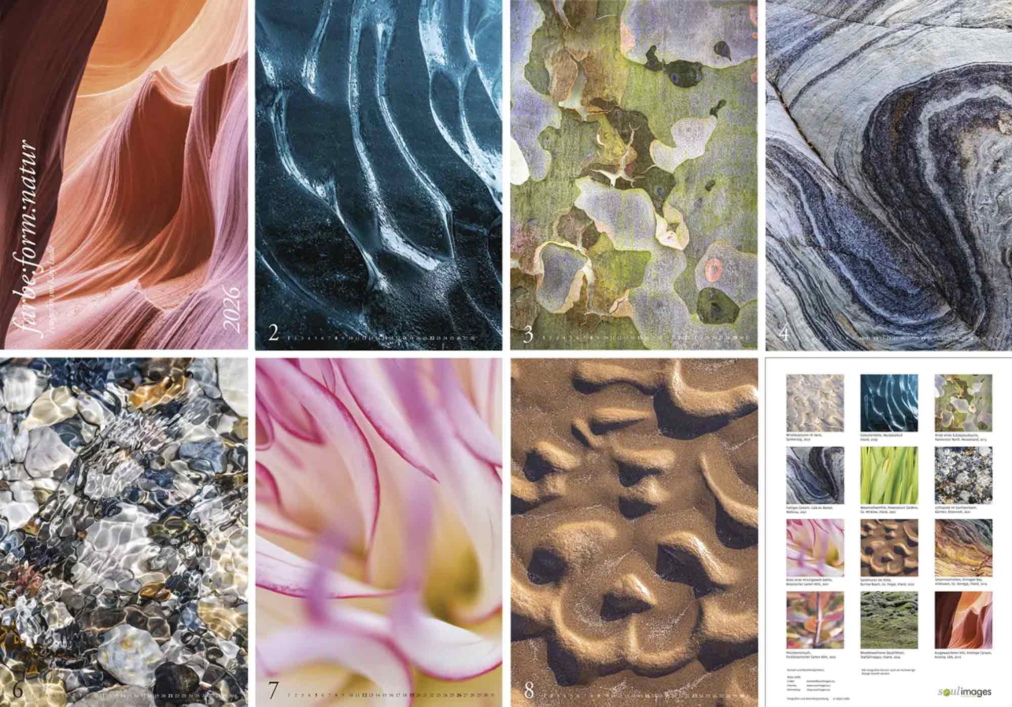 Neuer Kunstkalender 2026 von Katja Liedle: &raquo;farbe:form:natur&laquo; zeigt die Poesie der Natur im Detail