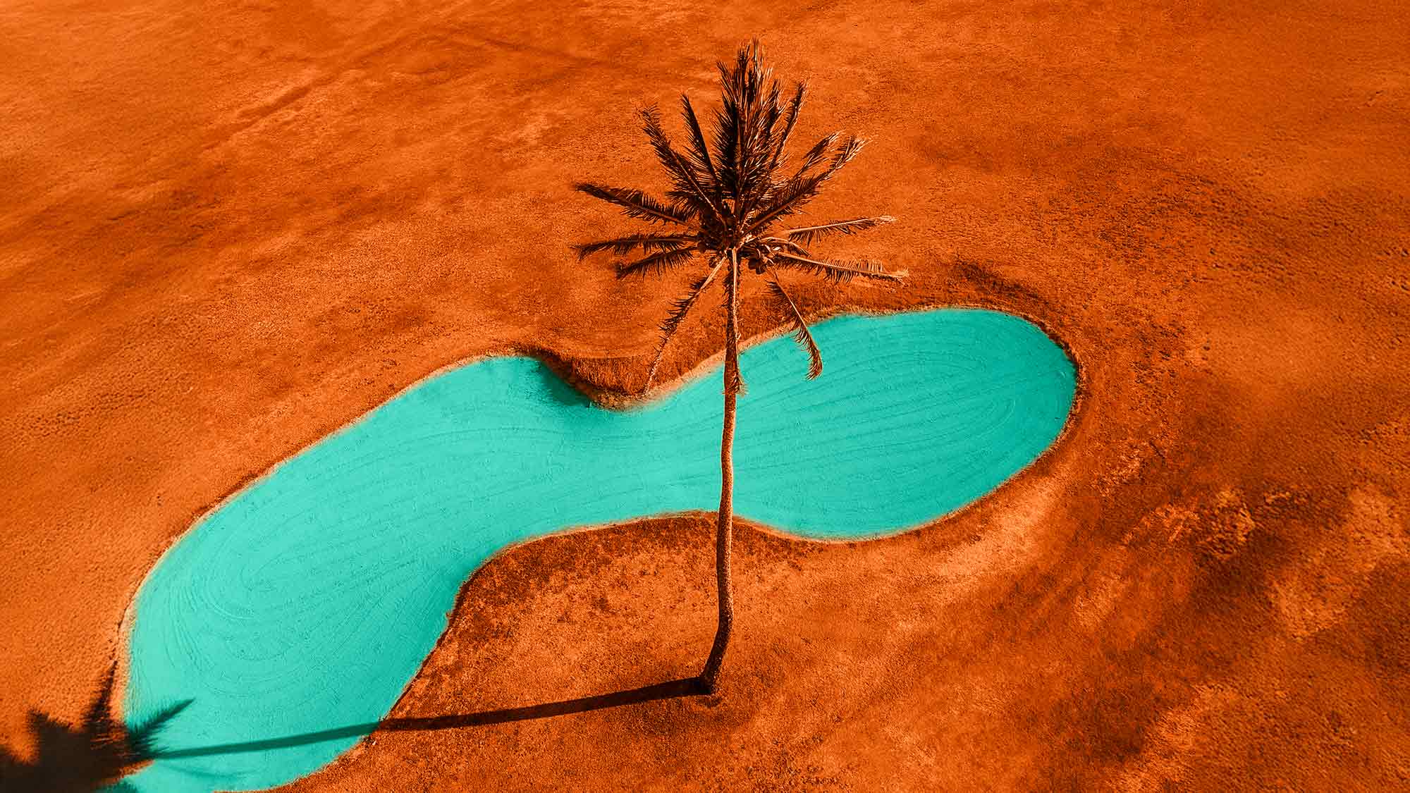 Österreichische Technologie macht Salzwasser und Sonne in trockenen Gebieten zum Standortvorteil Österreichische Technologie macht Salzwasser und Sonne in trockenen Gebieten zum Standortvorteil