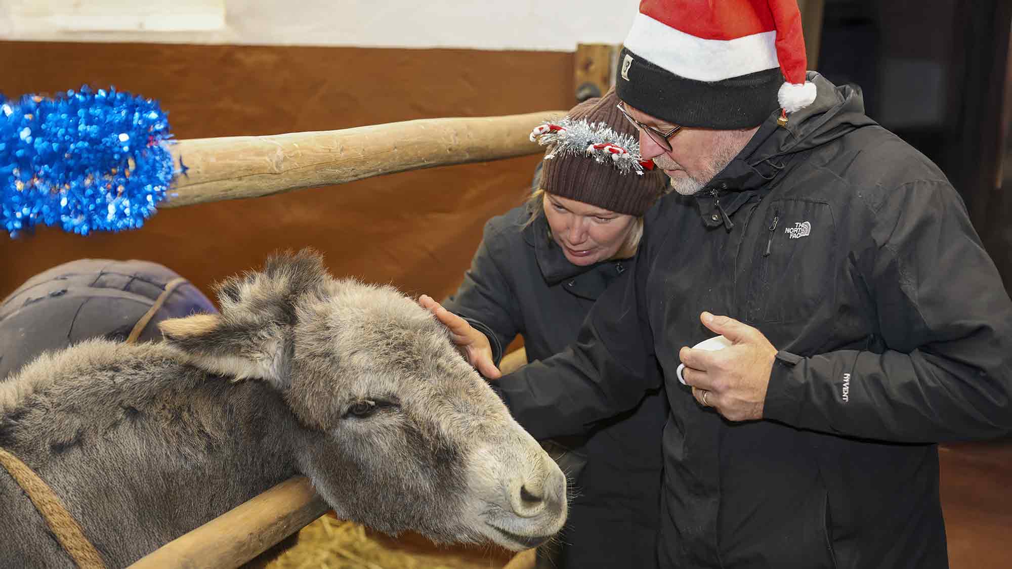 Kein Tierfreund soll Weihnachten einsam sein – besondere Einladung des Vereins »Achtung für Tiere« Kein Tierfreund soll Weihnachten einsam sein – besondere Einladung des Vereins »Achtung für Tiere«