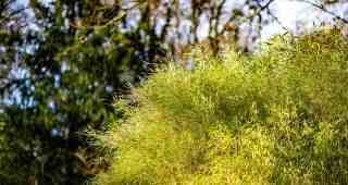 The NOW of Gütersloh