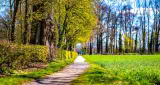 The NOW of Gütersloh
