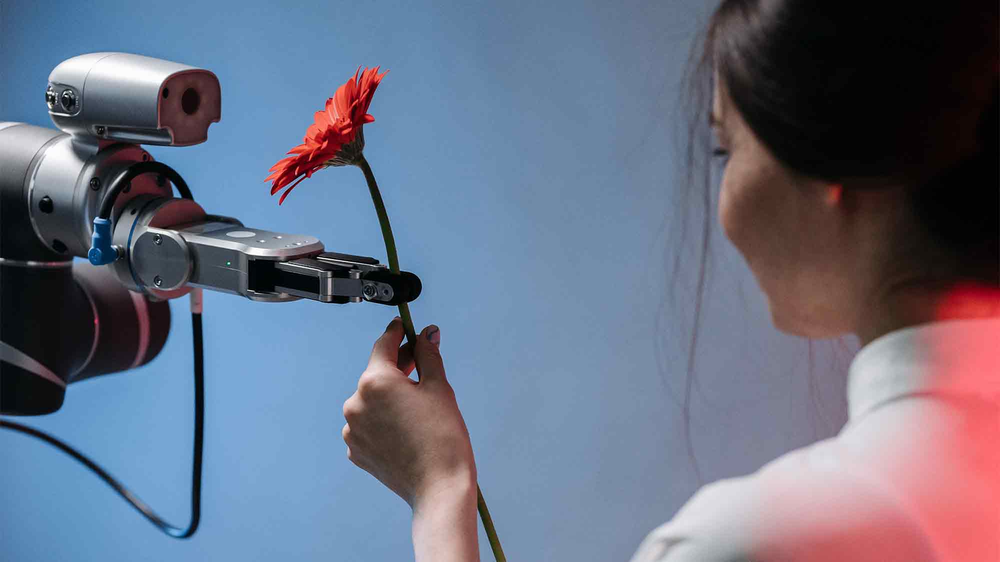 Machine Vision Kamera: Qualitätsprüfung im OWL Betrieb