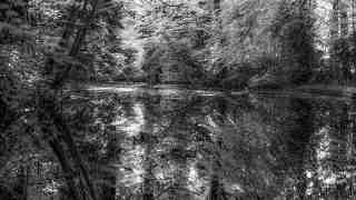 The NOW of Gütersloh