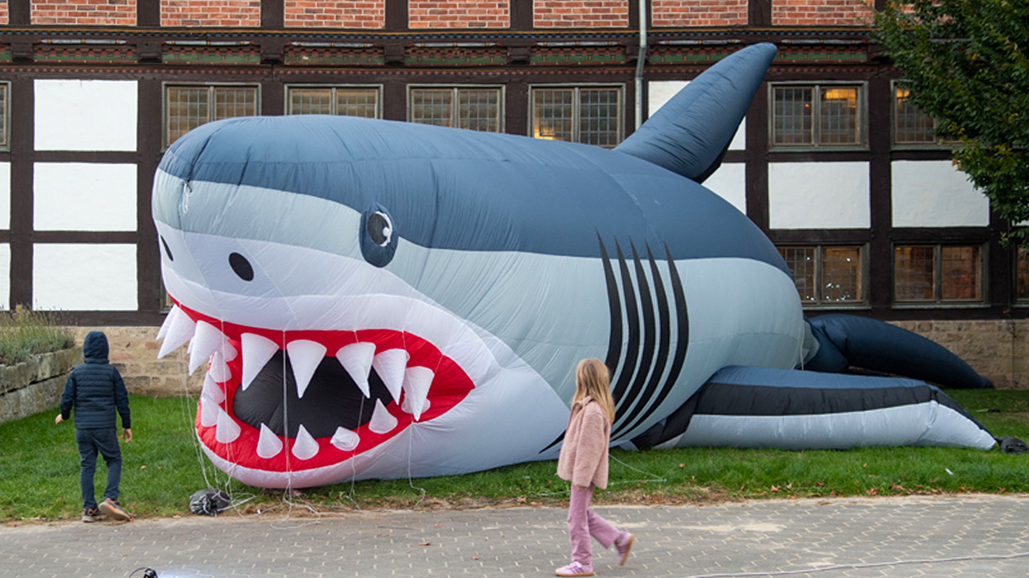 »überLeben – Walheimat Urmeer« im Lippischen Landesmuseum Detmold, 26. September 2026 bis 4. April 2027