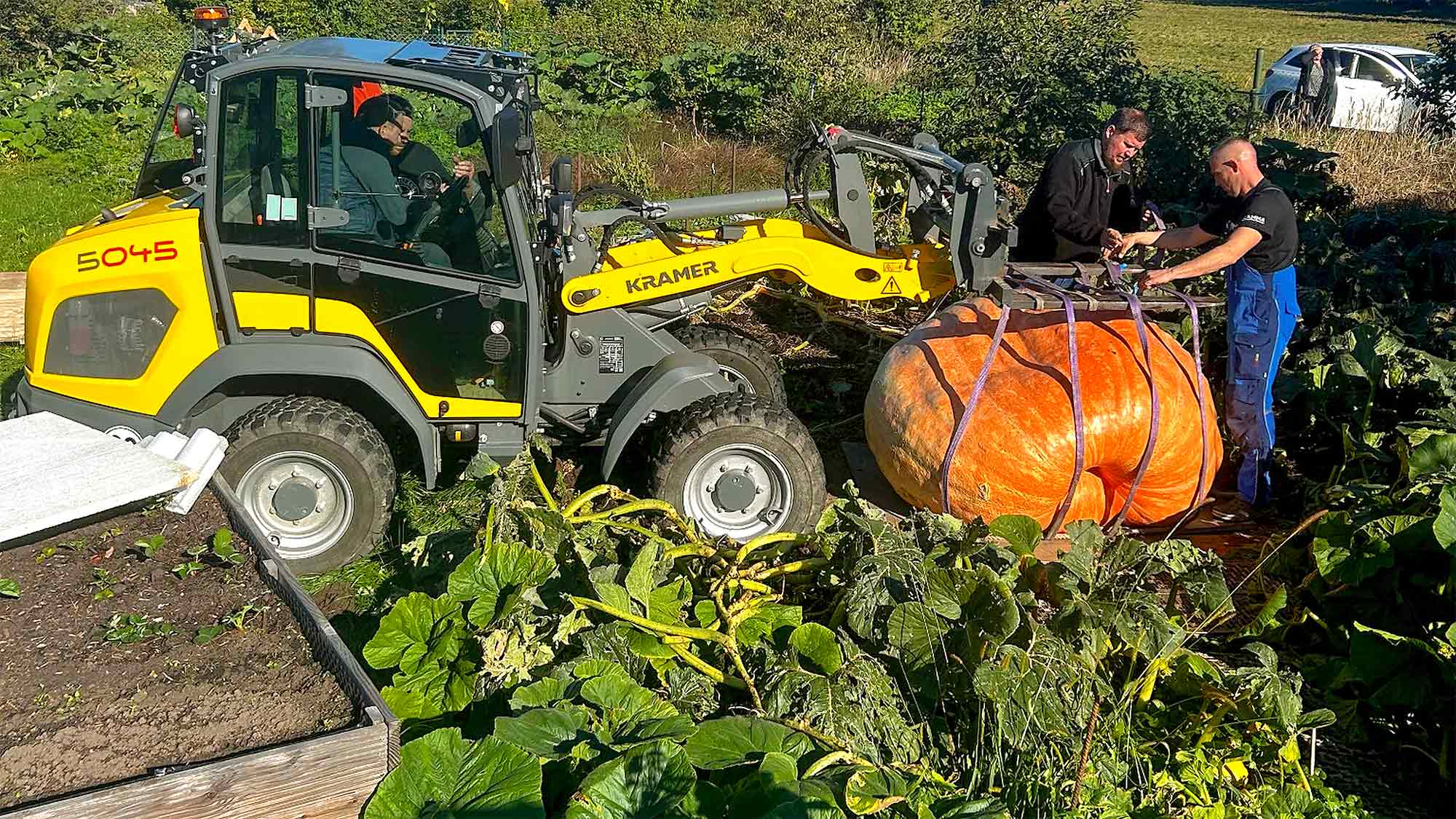 Riesenkürbis aus Brandenburg wiegt 942,2 Kilogramm: Doppelsieg mit »floraPell« Dünger Riesenkürbis aus Brandenburg wiegt 942,2 Kilogramm: Doppelsieg mit »floraPell« Dünger