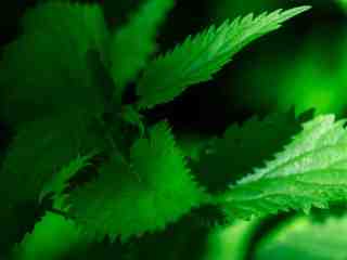 The NOW of Gütersloh