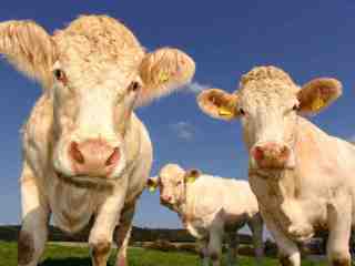 The NOW of Gütersloh