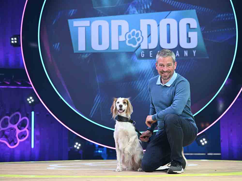 Mit Tulip zu Top Dog Germany, Therapiebegleithund aus der LWL Tagesklinik Coesfeld nimmt an TV Show teil