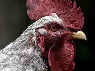 The NOW of Gütersloh