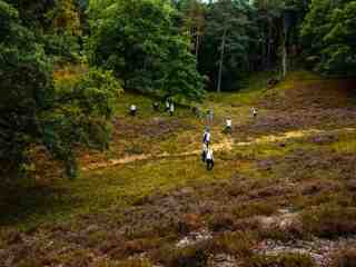 The NOW of Gütersloh