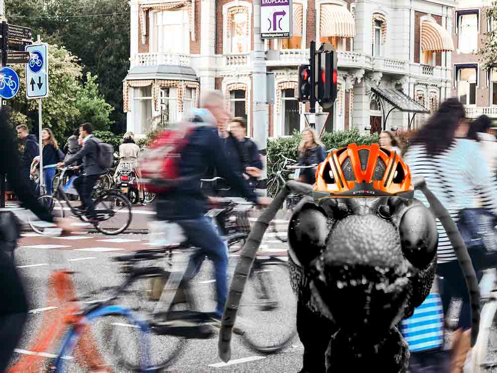 Gütersloh, von Tempolimits, Radfahrern, Konflikten, Straßenverkehr, Gefahrensituationen, Superideologien, Ameisen, Sonntagsfahrern und Straßen