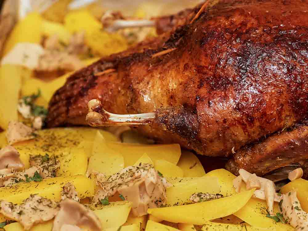 Landwirtschaftskammer Nordrhein Westfalen, Meldungen Oktober 2022, Gänsebraten, Herdenschutz, Herbstfarben im Blumenkasten Landwirtschaftskammer Nordrhein Westfalen, Meldungen Oktober 2022, Gänsebraten, Herdenschutz, Herbstfarben im Blumenkasten