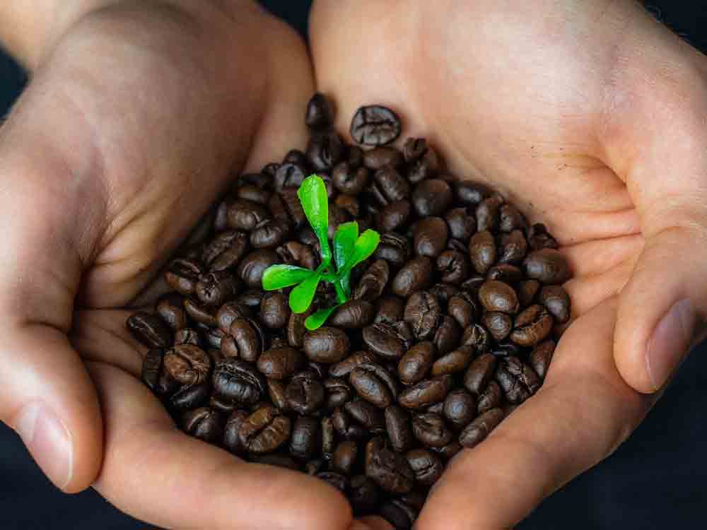 Fairtrade Deutschland, mehr als 850 Schulen engagieren sich in Deutschland, 10 Jahre Fairtrade Schools