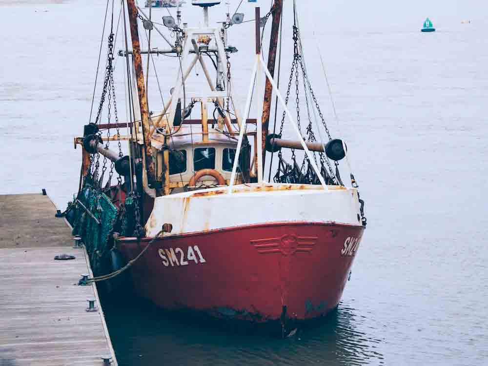 Grüne Politik und Rote Liste: Lob und Kritik an den Nordsee Fangquoten 2023 vom BUND Grüne Politik und Rote Liste: Lob und Kritik an den Nordsee Fangquoten 2023 vom BUND
