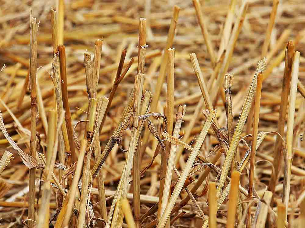 Landtechnik für Profis: Halmfutterernte im Fokus, Fachtagung von DLG und VDI MEG am 14. und 15. Februar 2023 bei Pöttinger in Grieskirchen (Österreich)