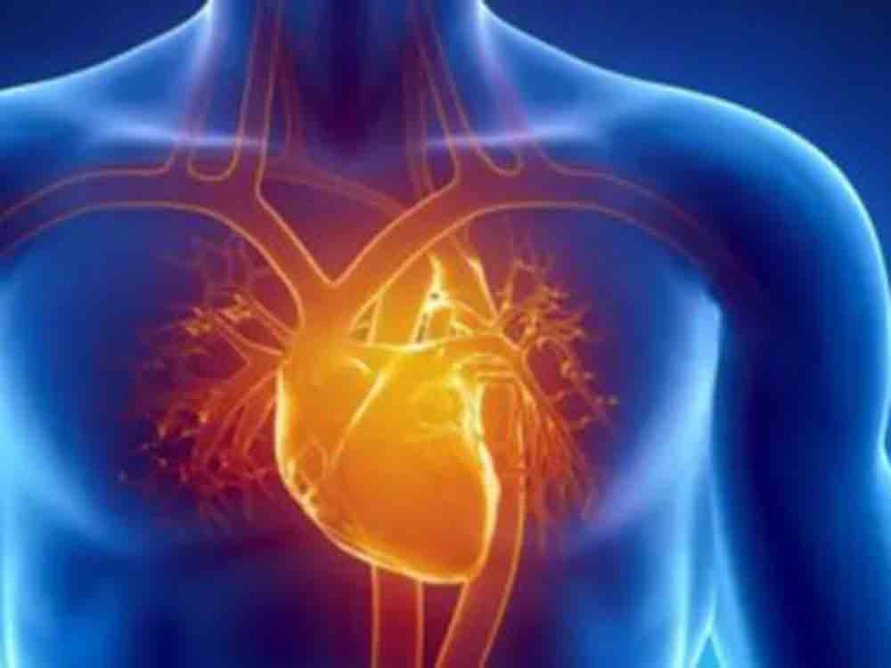 Lichttherapie verzögert Altern des Herzens, US Wissenschaftler weisen im Tierexperiment eine verbesserte Pumpleistung erfolgreich nach Lichttherapie verzögert Altern des Herzens, US Wissenschaftler weisen im Tierexperiment eine verbesserte Pumpleistung erfolgreich nach