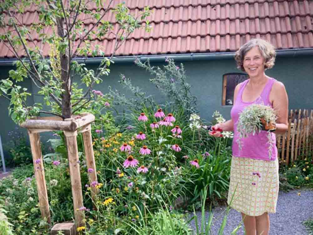 Letzter Aufruf: Bienenfreundlich gärtnern und bis zu 400 Euro gewinnen, Deutschland summt! Pflanzwettbewerb 2023 endet am 31. Juli 2023 Letzter Aufruf: Bienenfreundlich gärtnern und bis zu 400 Euro gewinnen, Deutschland summt! Pflanzwettbewerb 2023 endet am 31. Juli 2023