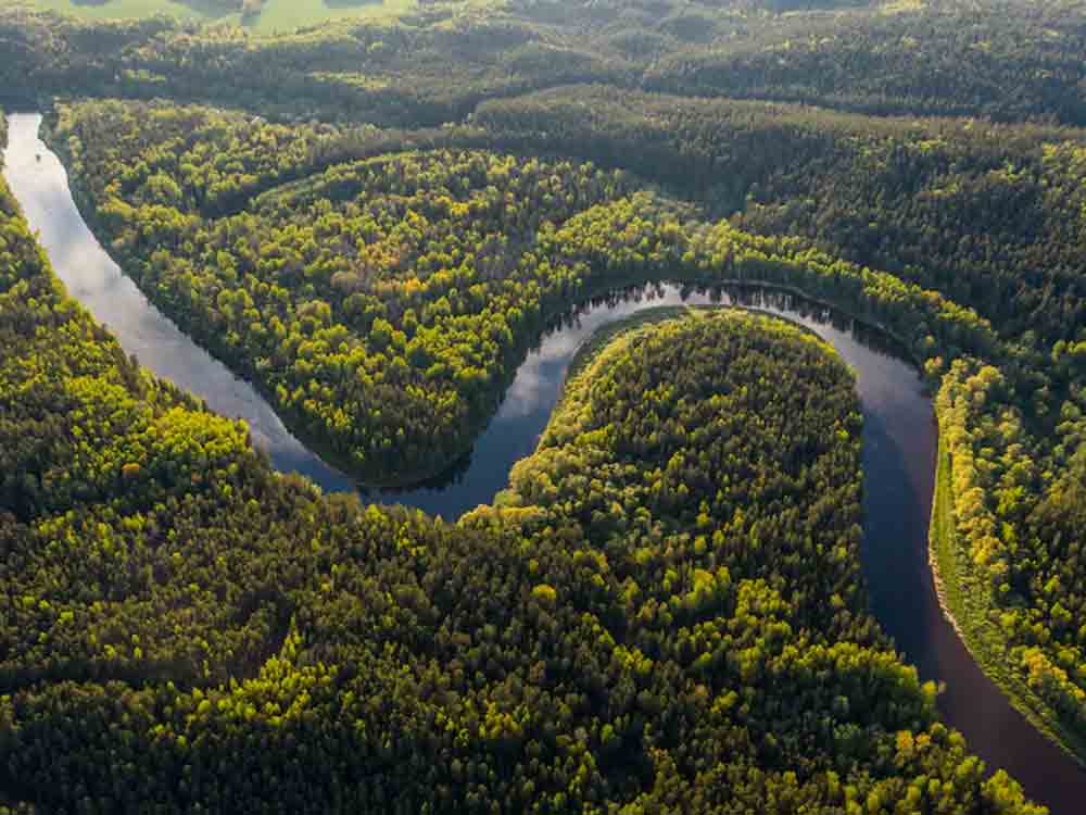 Amazonas in der Feuerfalle: Abholzung und Erwärmung können aus Regenwald auf lange Sicht beschädigtes Grasland machen Amazonas in der Feuerfalle: Abholzung und Erwärmung können aus Regenwald auf lange Sicht beschädigtes Grasland machen
