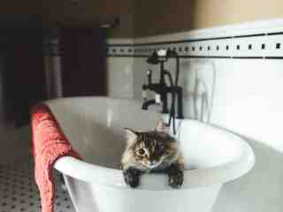 The NOW of Gütersloh