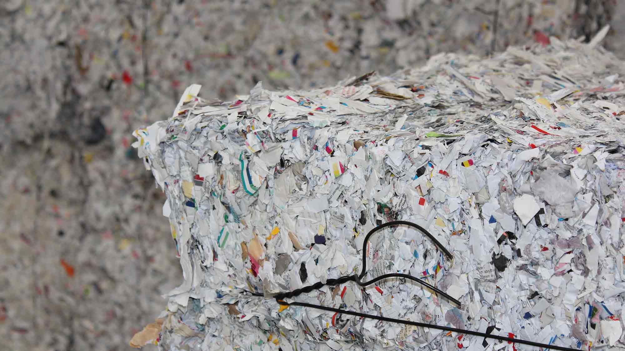 Alte Akten sicher vernichten – GEG unterstützt Aktion auf dem Entsorgungspunkt Gütersloh, 5. und 6. September 2024 Alte Akten sicher vernichten – GEG unterstützt Aktion auf dem Entsorgungspunkt Gütersloh, 5. und 6. September 2024