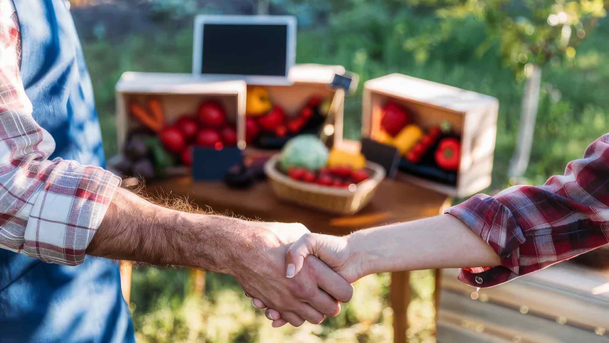 Düsser Bauernmarkt am 8. September 2024, freie Ausbildungsplätze in den Agrarberufen und in der Hauswirtschaft, Rhododendren vor Zikaden schützen