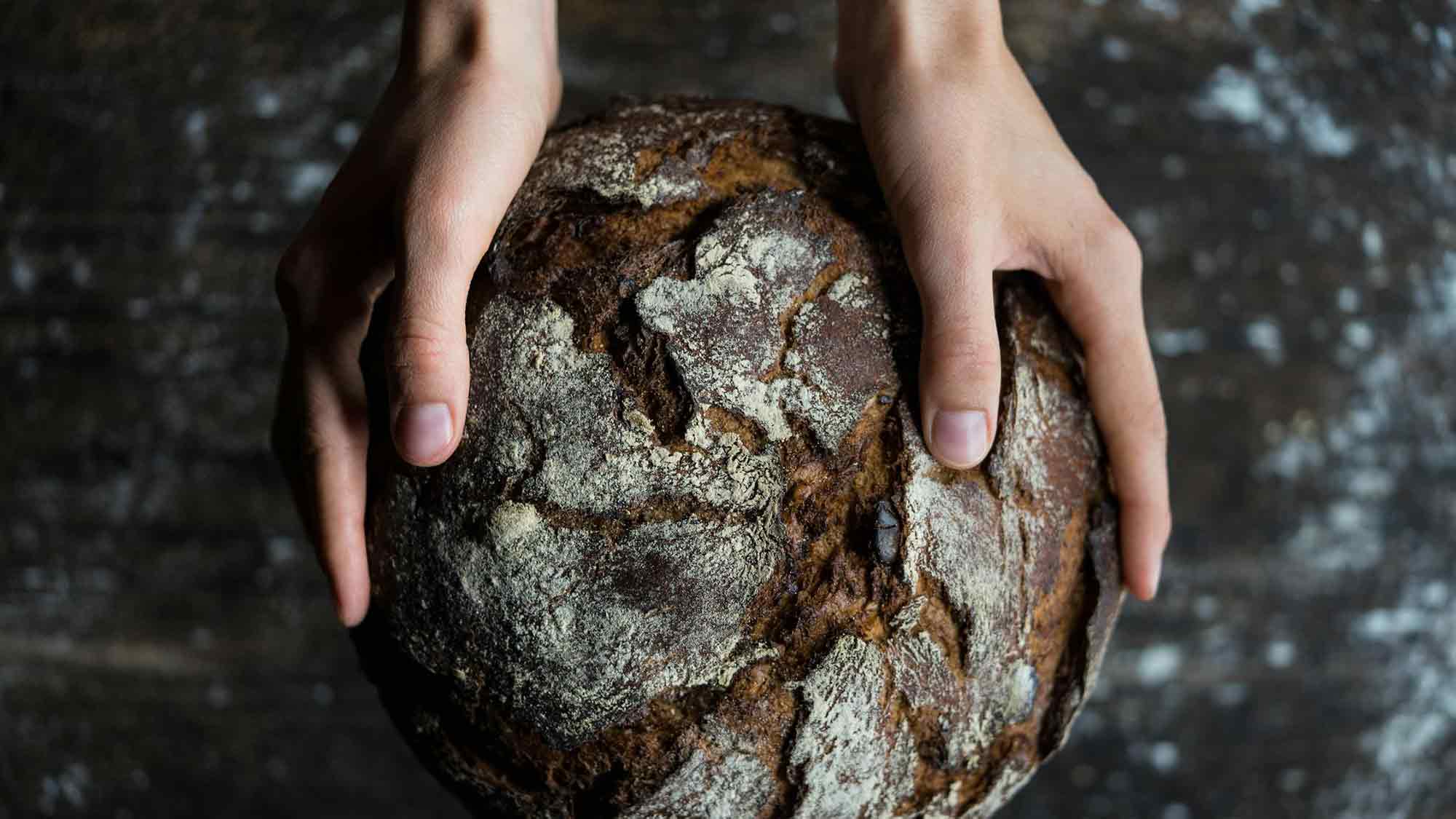 Ausstellungseröffnung »Vom Korn zum Brot« im Rathaus Detmold, 26. September bis 18. Oktober 2024 Ausstellungseröffnung »Vom Korn zum Brot« im Rathaus Detmold, 26. September bis 18. Oktober 2024