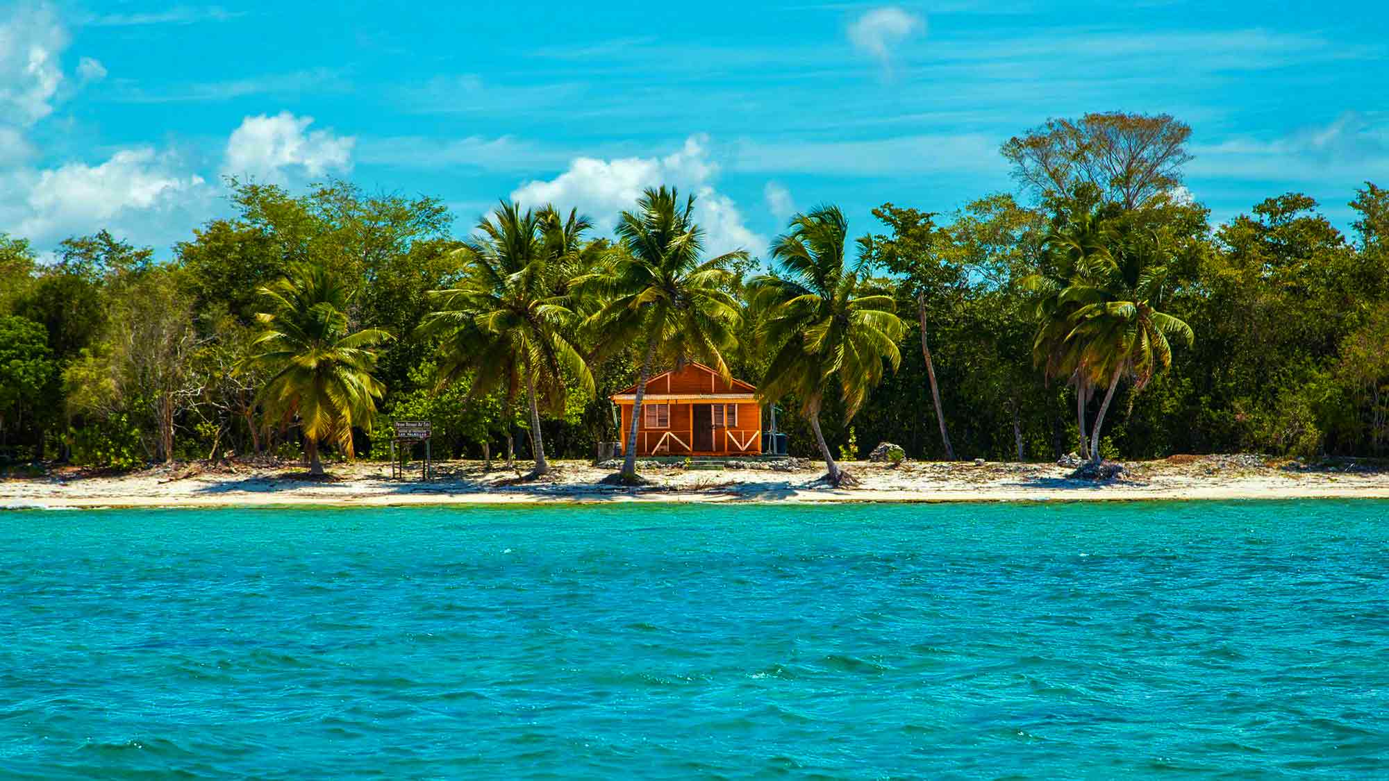 The Dominican Republic Ministry of Tourism to Unveil Caribbean Dome in NYC With Food, Music, Dancing & Costumes: «Taste of the Dominican Experience« The Dominican Republic Ministry of Tourism to Unveil Caribbean Dome in NYC With Food, Music, Dancing & Costumes: «Taste of the Dominican Experience«