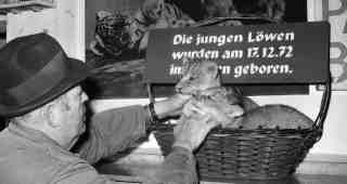 The NOW of Gütersloh