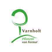 G&uuml;tsel Webcard